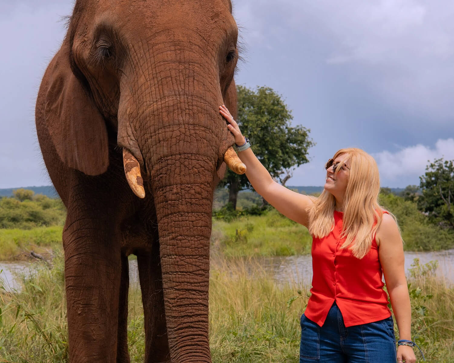 XSEM team member interacting with an elephant